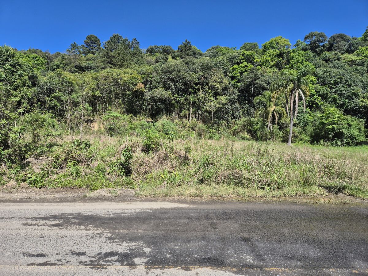 Imagem do 2 Lotes a venda com 300 m2 cada - Alto da Tijuca