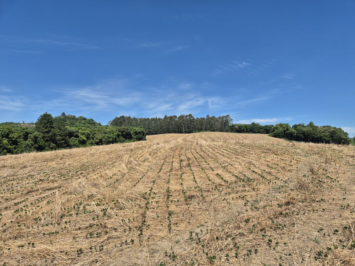 Imagem do Terreno Rural com 20.7 alqueires no Tira Fogo municipio Bela Vista do Toldo