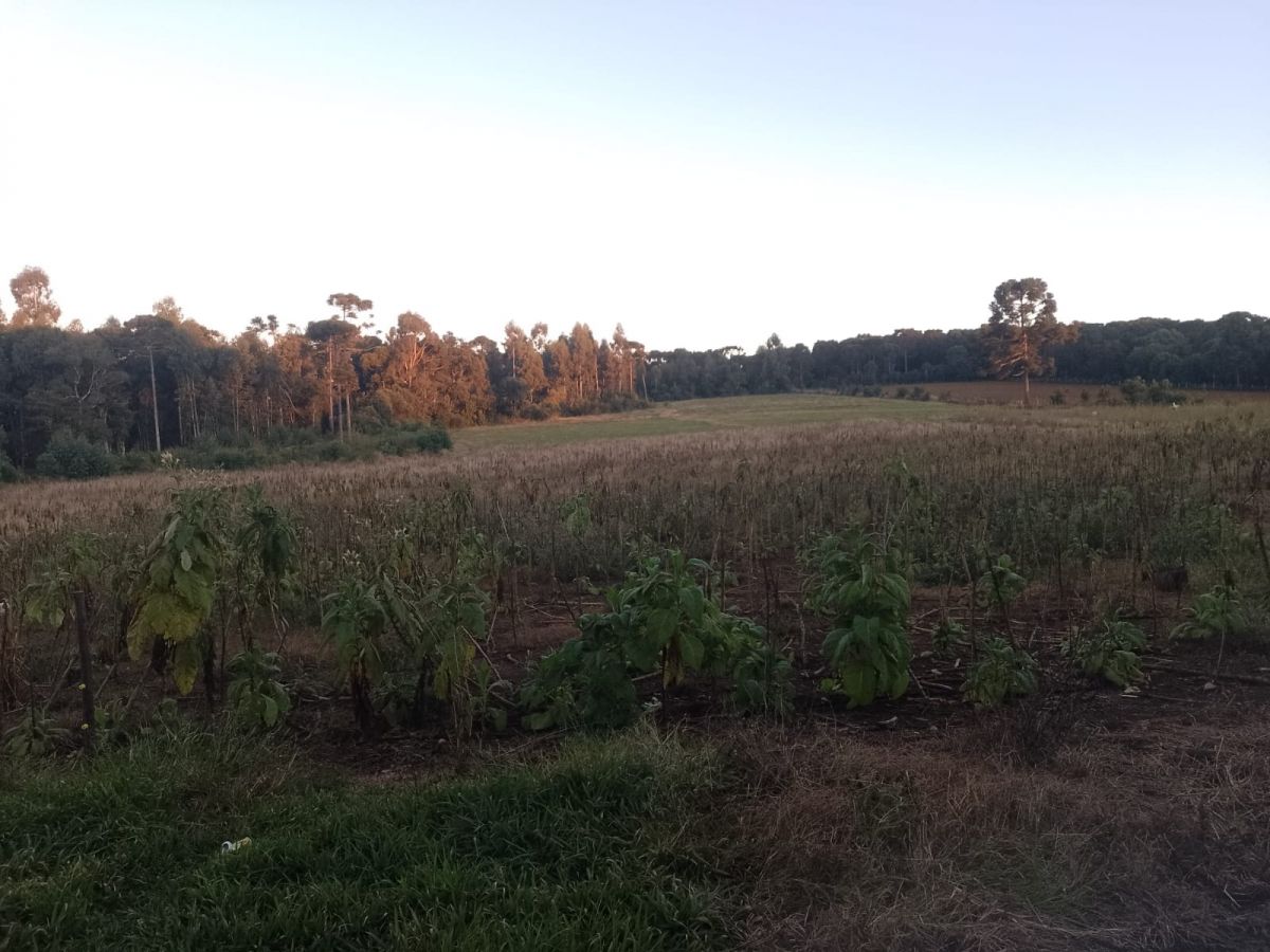 Imagem do A Venda Terreno Rural com 33.000 m2 Fartura do Meio