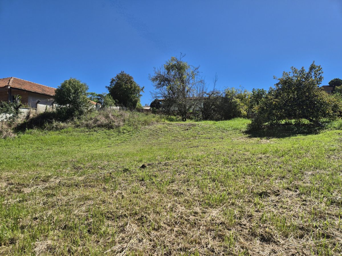 Imagem do A Venda - 3 lotes Bairro Sossego Próximo ao Centro -Rua João Tomachitz