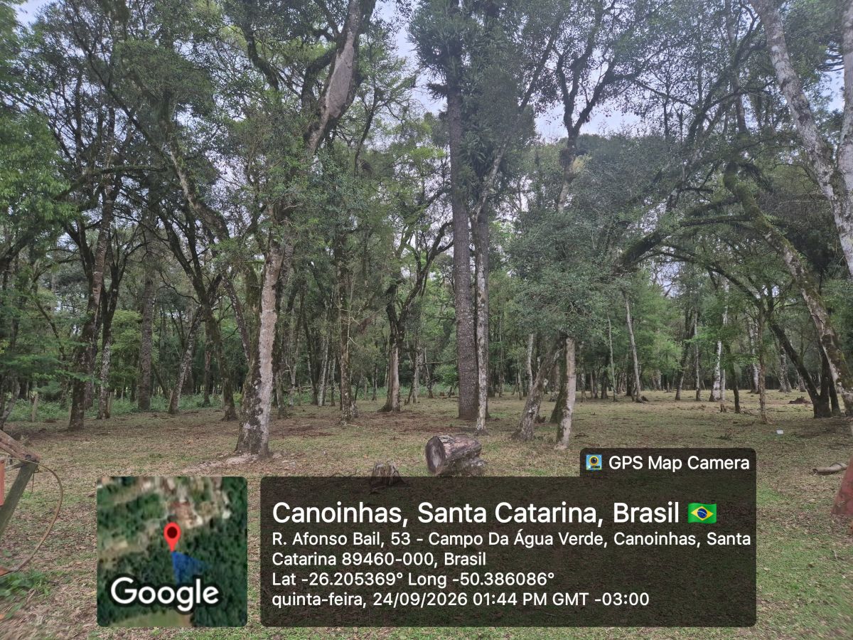 Imagem do A VENDA - Sítio com àrea de 8.000 m2 - Bairro Água Verde - Cercado e com água