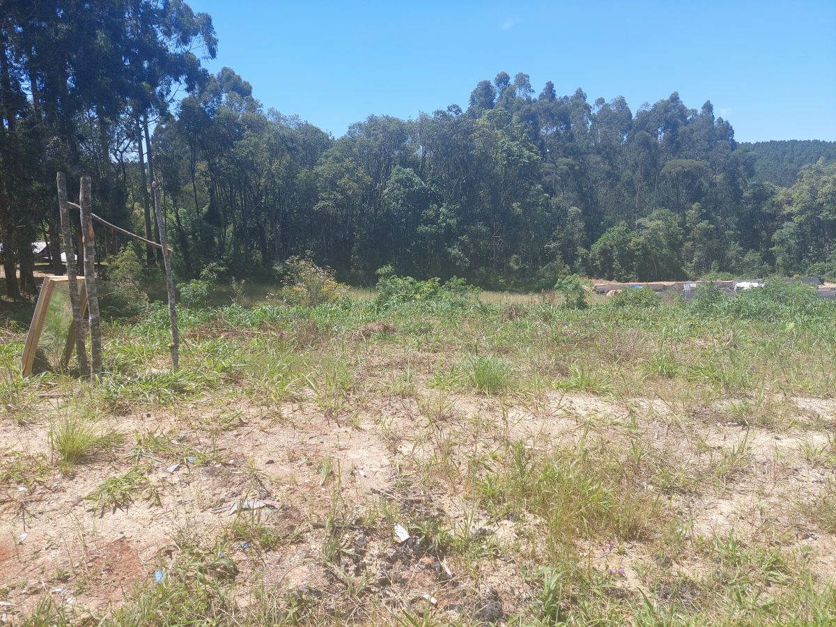imóvel Terreno Urbano com 10.300 m2 - 60 metros de Frente para BR 280
