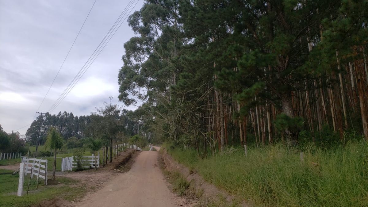 imóvel TERRENO RURAL COM 31 HA - CAMPO LARGO PR.