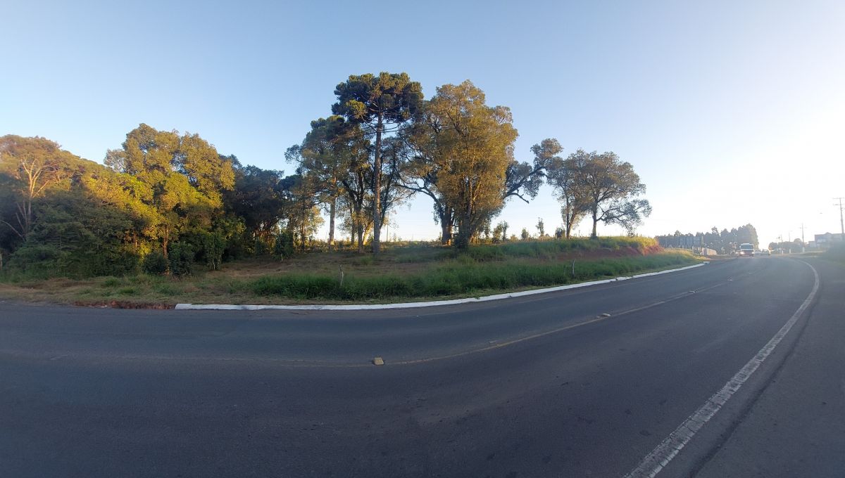 Imagem do TERRENO RURAL COM 2.137,22 M2 - NO TREVO DA MILLI EM TRES BARRAS SC