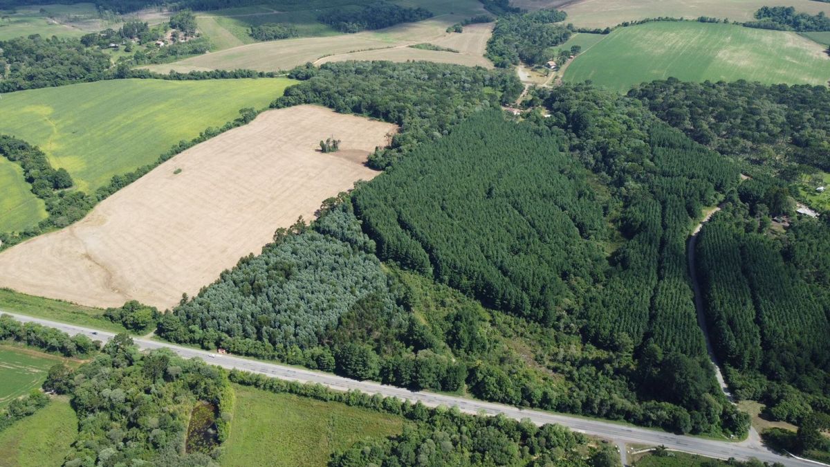 imóvel Terreno Rural com 23.293,19 m2 frente para BR 280 Três Barras SC