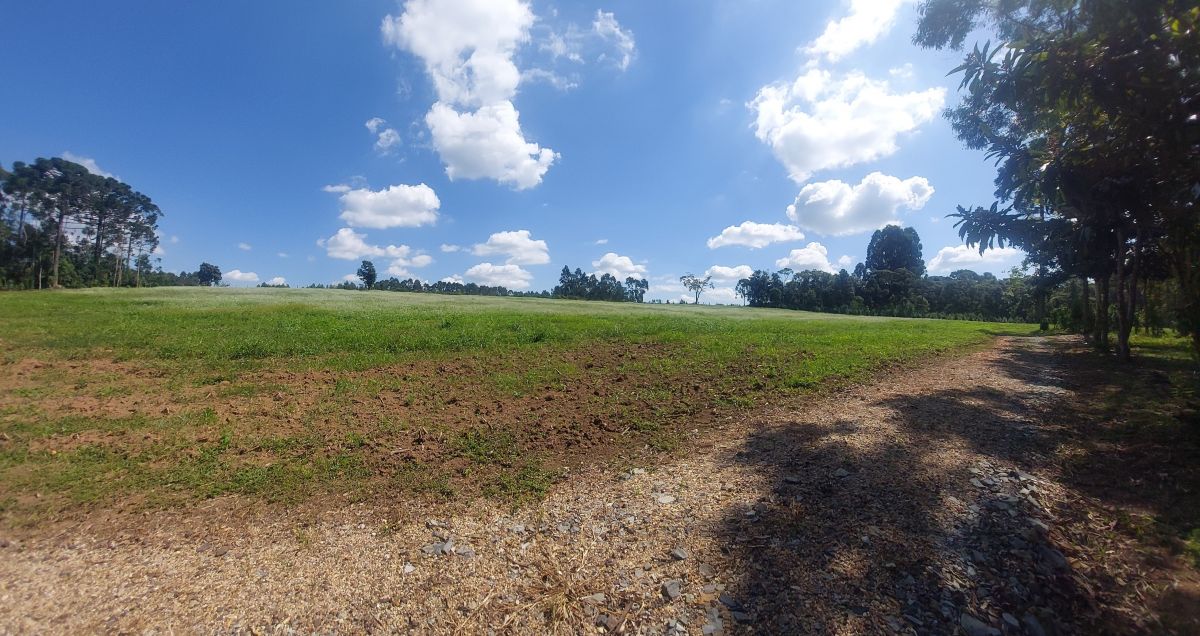 Imagem do Terreno Rural com 3.6 hectares de terra de planta no Bairro Piedade