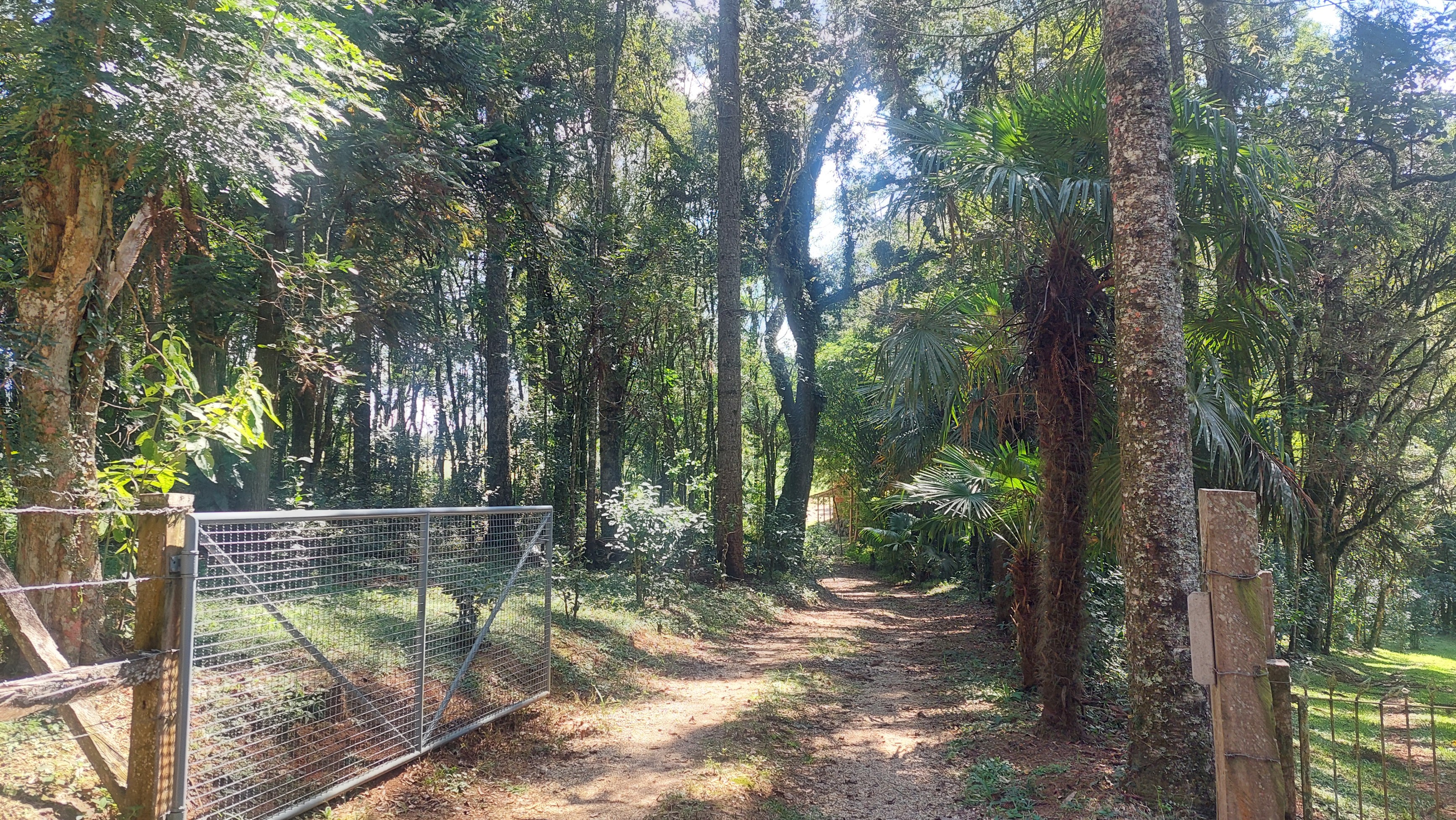Imagem doTerreno Rural com 3.6 hectares de terra de planta no Bairro Piedade